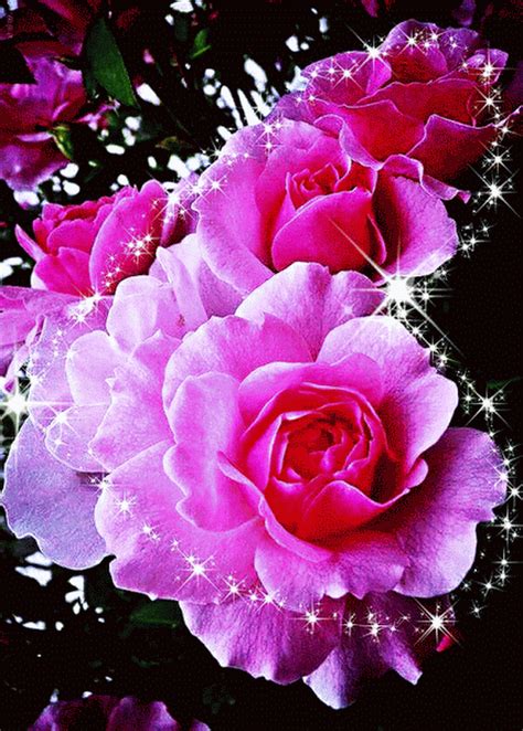 gif flores|free flower clip art gif.